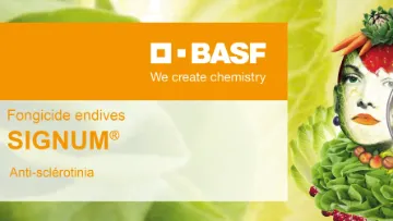 signum fongicide basf